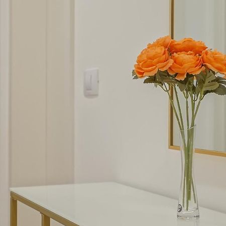 Grandis Studio Coresi Braşov Exteriör bild