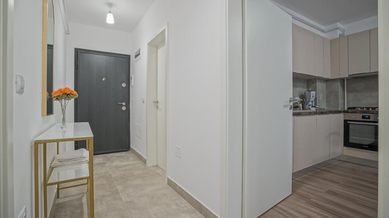 Grandis Studio Coresi Braşov Exteriör bild