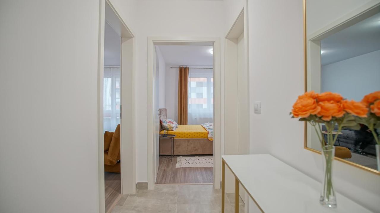 Grandis Studio Coresi Braşov Exteriör bild