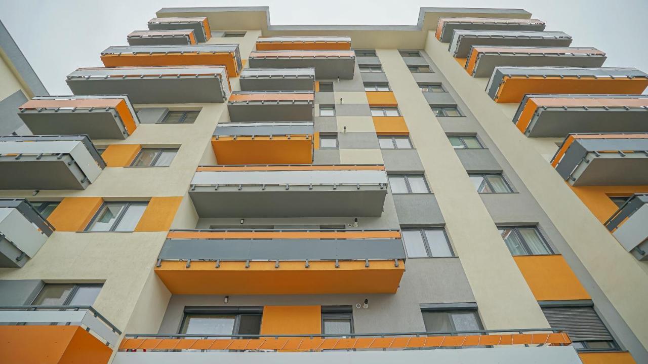Grandis Studio Coresi Braşov Exteriör bild