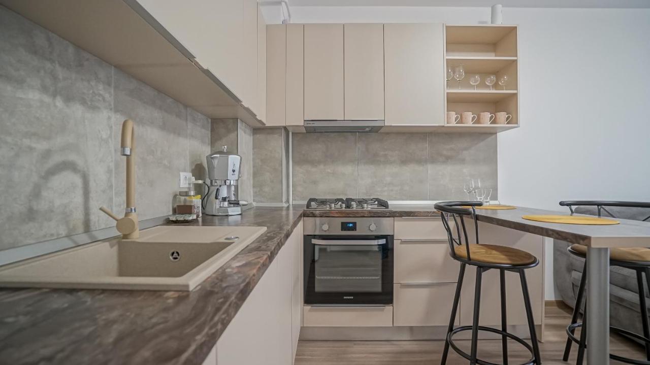 Grandis Studio Coresi Braşov Exteriör bild