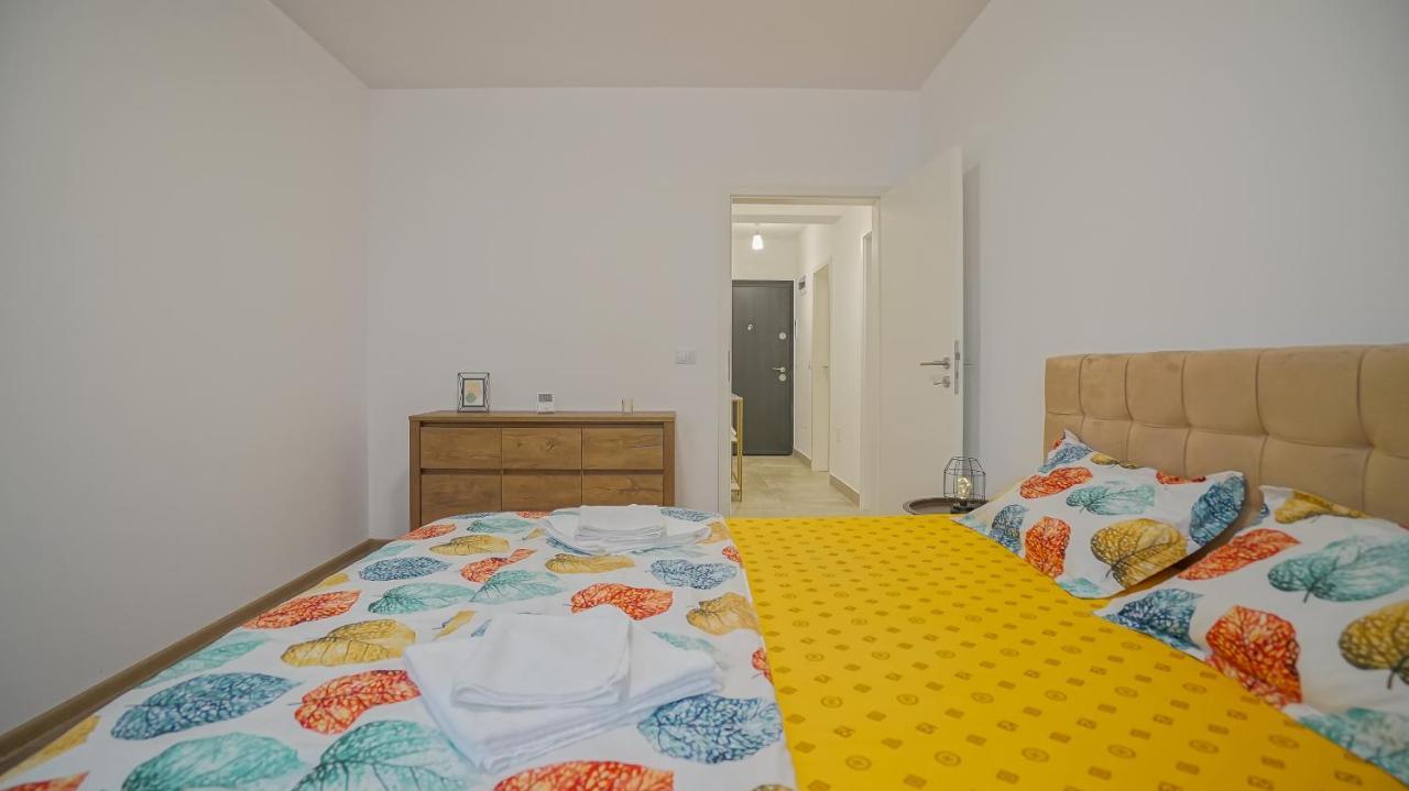 Grandis Studio Coresi Braşov Exteriör bild
